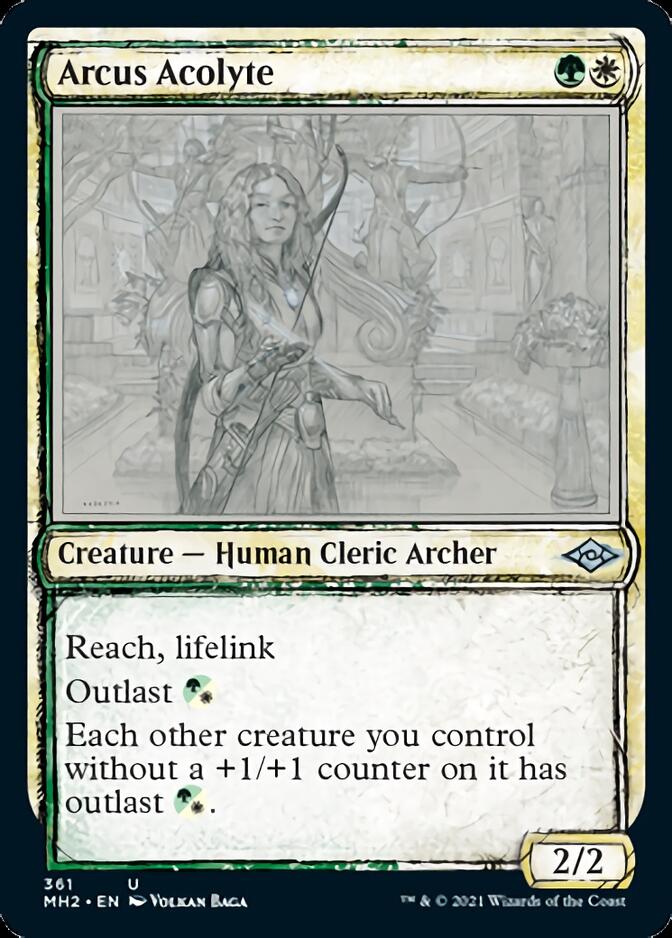 Arcus Acolyte (Sketch) [Modern Horizons 2] | Exor Games Dartmouth