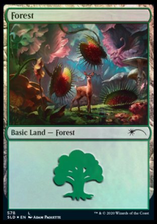 Forest (Predatory) (578) [Secret Lair Drop Promos] | Exor Games Dartmouth
