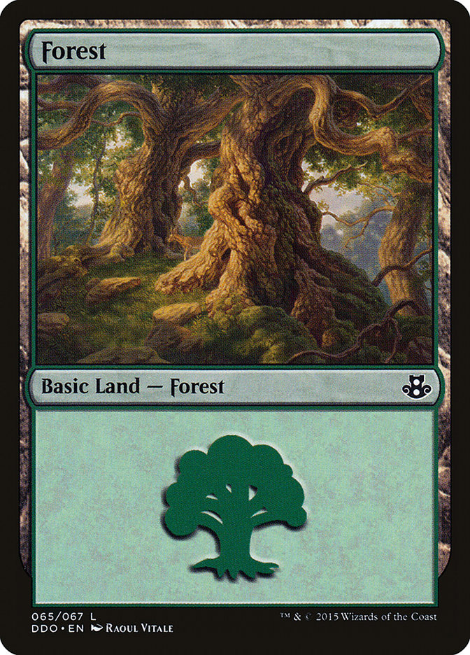 Forest (65) [Duel Decks: Elspeth vs. Kiora] | Exor Games Dartmouth