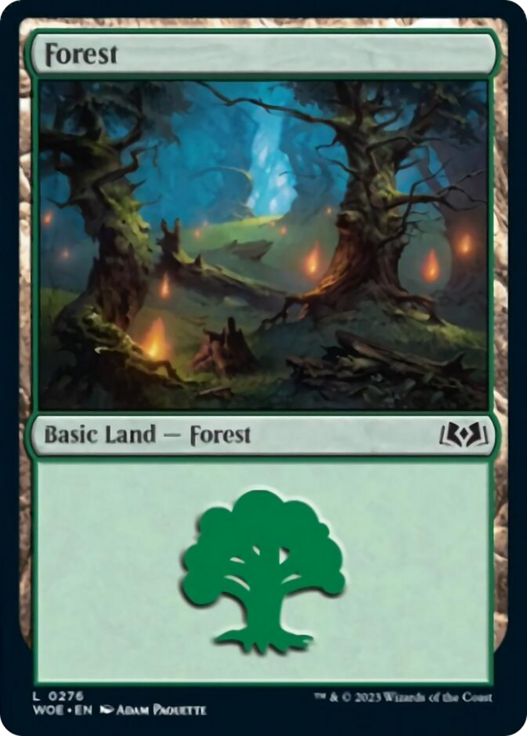 Forest (0276) [Wilds of Eldraine] | Exor Games Dartmouth