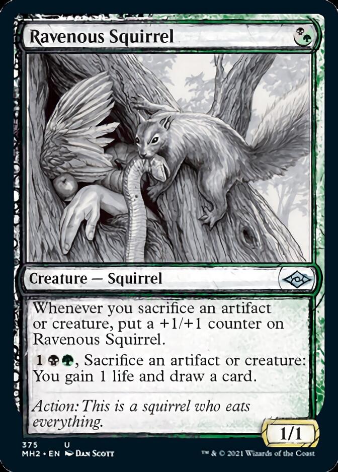 Ravenous Squirrel (Sketch) [Modern Horizons 2] | Exor Games Dartmouth