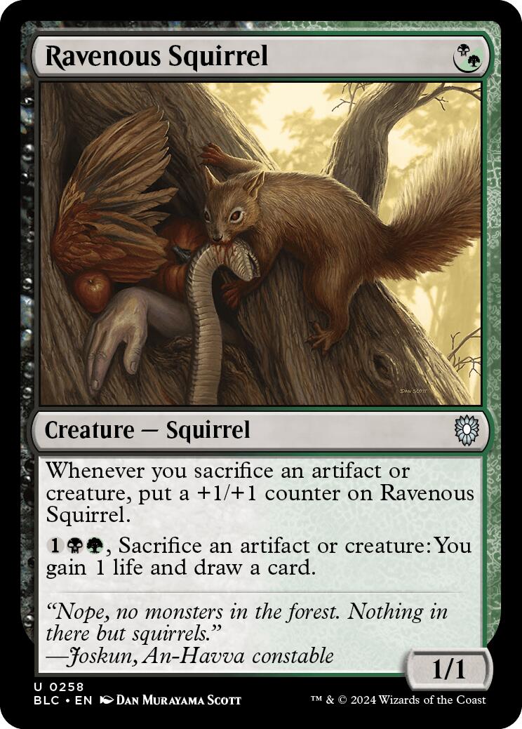 Ravenous Squirrel [Bloomburrow Commander] | Exor Games Dartmouth