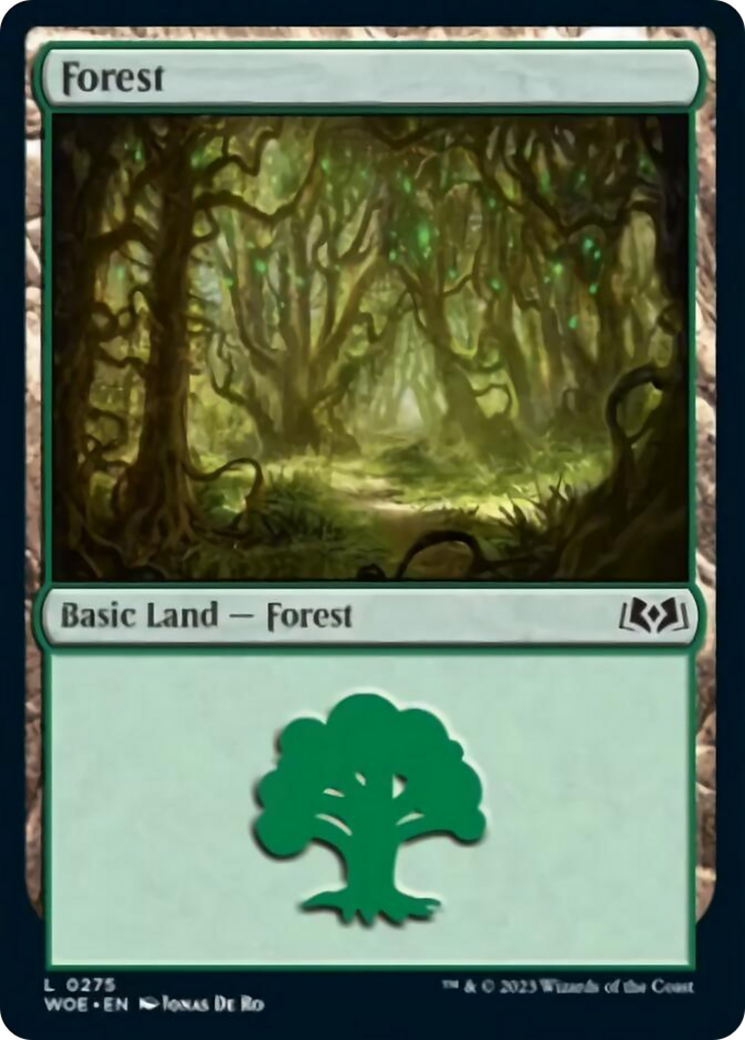 Forest (0275) [Wilds of Eldraine] | Exor Games Dartmouth