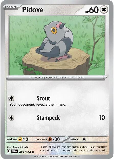 Pidove (071/086) [Scarlet & Violet: Black Bolt] | Exor Games Dartmouth