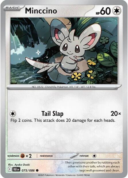 Minccino (075/086) [Scarlet & Violet: Black Bolt] | Exor Games Dartmouth