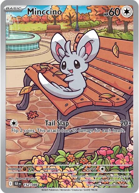Minccino (152/086) [Scarlet & Violet: Black Bolt] | Exor Games Dartmouth