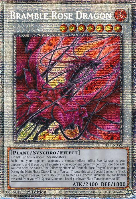 Bramble Rose Dragon (Starlight Rare) [DOOD-EN039] Starlight Rare | Exor Games Dartmouth
