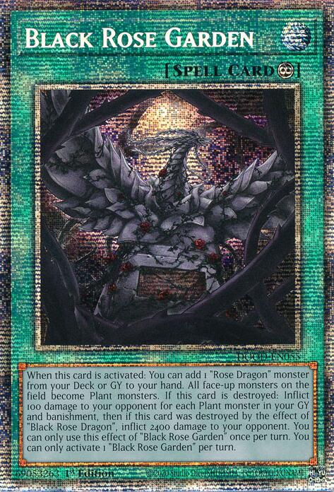 Black Rose Garden (Starlight Rare) [DOOD-EN055] Starlight Rare | Exor Games Dartmouth