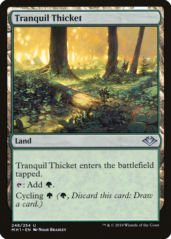 Tranquil Thicket [Modern Horizons] | Exor Games Dartmouth