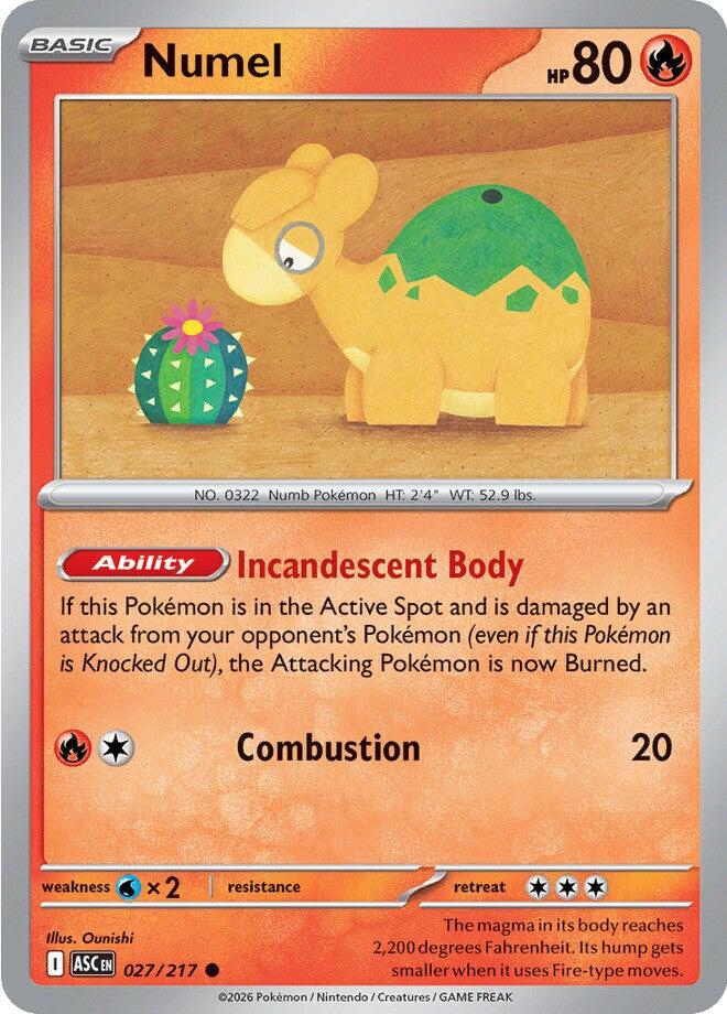 Numel (027/217) [Mega Evolution: Ascended Heroes] | Exor Games Dartmouth