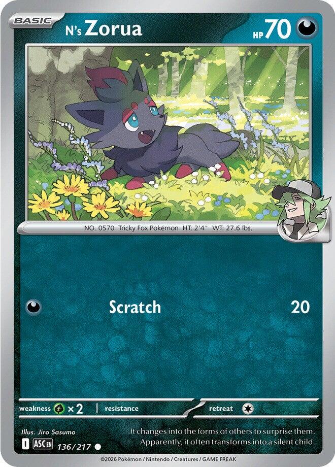 N's Zorua (136/217) [Mega Evolution: Ascended Heroes] | Exor Games Dartmouth