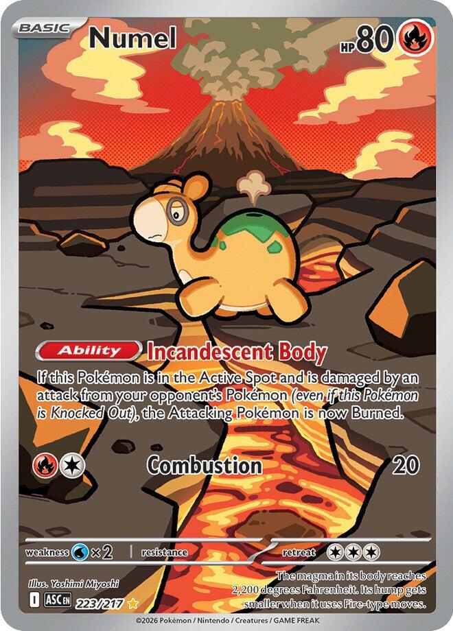 Numel (223/217) [Mega Evolution: Ascended Heroes] | Exor Games Dartmouth