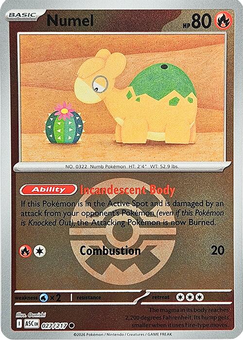 Numel (027/217) (Quick Ball) [Mega Evolution: Ascended Heroes] | Exor Games Dartmouth
