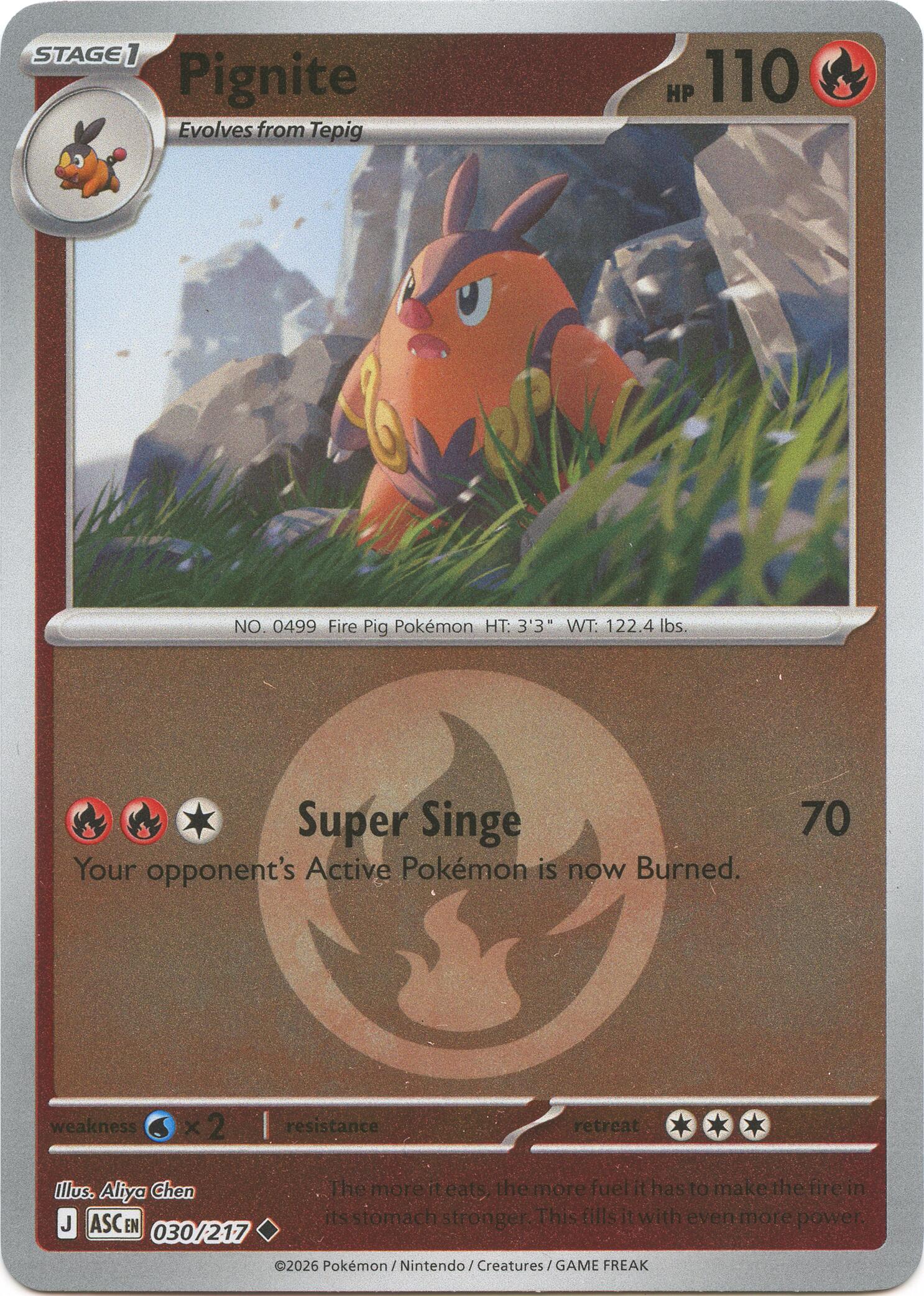 Pignite (030/217) (Energy Symbol Pattern) [Mega Evolution: Ascended Heroes] | Exor Games Dartmouth