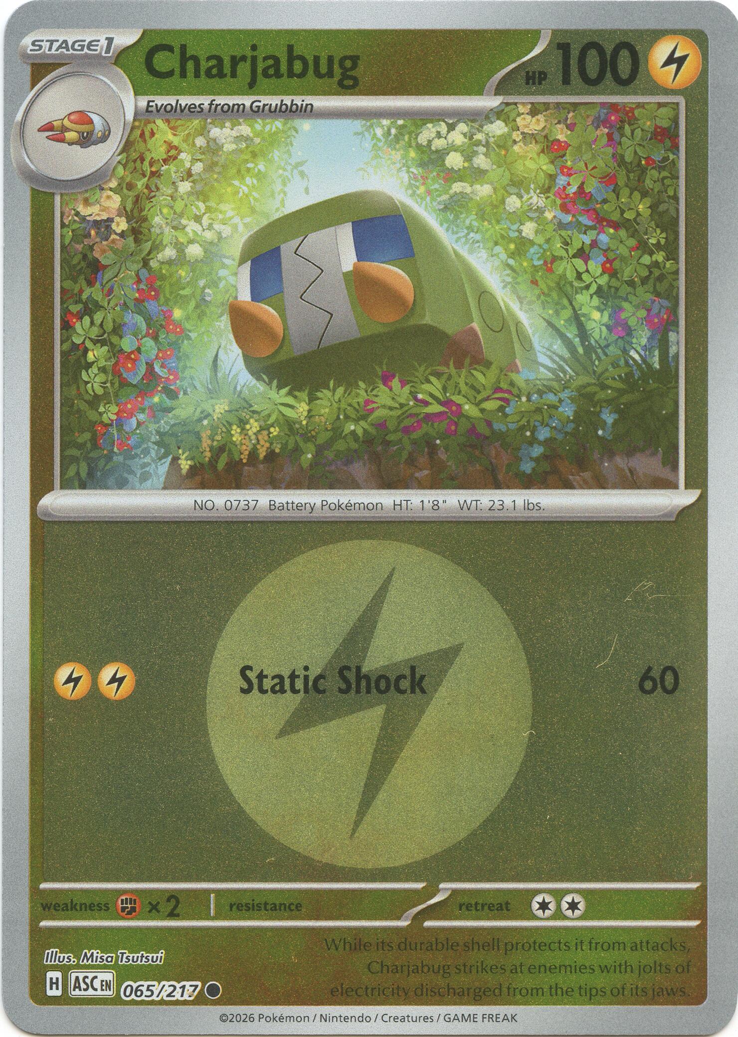 Charjabug (065/217) (Energy Symbol Pattern) [Mega Evolution: Ascended Heroes] | Exor Games Dartmouth
