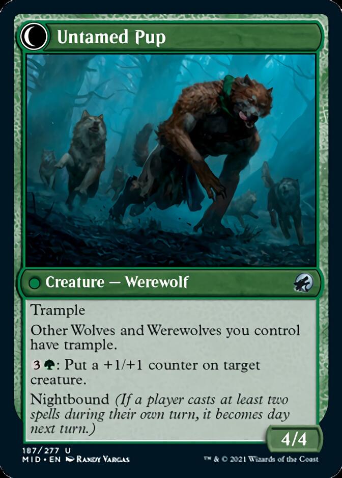 Hound Tamer // Untamed Pup [Innistrad: Midnight Hunt] | Exor Games Dartmouth