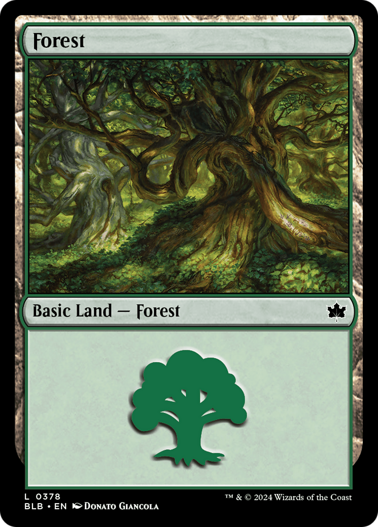 Forest (0378) [Bloomburrow] | Exor Games Dartmouth