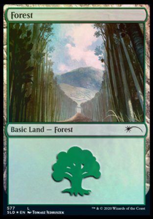 Forest (Walls) (577) [Secret Lair Drop Promos] | Exor Games Dartmouth