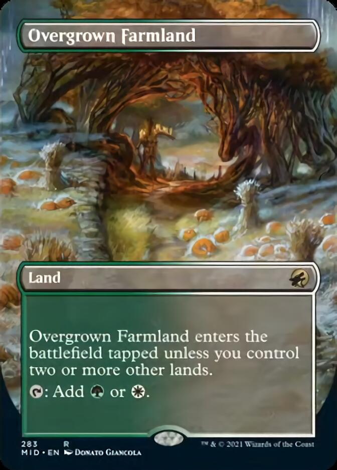 Overgrown Farmland (Borderless Alternate Art) [Innistrad: Midnight Hunt] | Exor Games Dartmouth