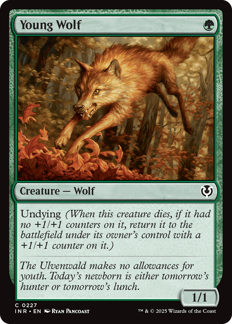 Young Wolf [Innistrad Remastered] | Exor Games Dartmouth