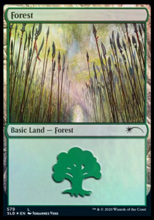 Forest (Elves) (579) [Secret Lair Drop Promos] | Exor Games Dartmouth