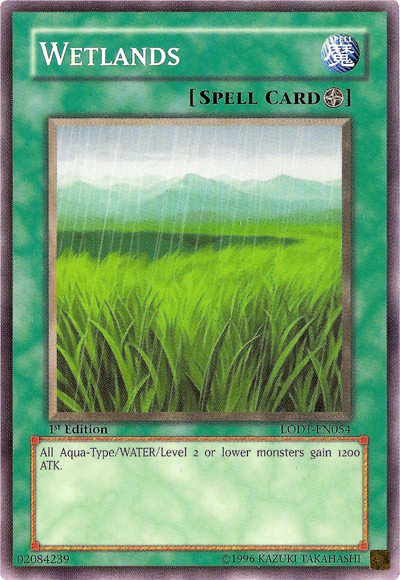 Wetlands [LODT-EN054] Common | Exor Games Dartmouth