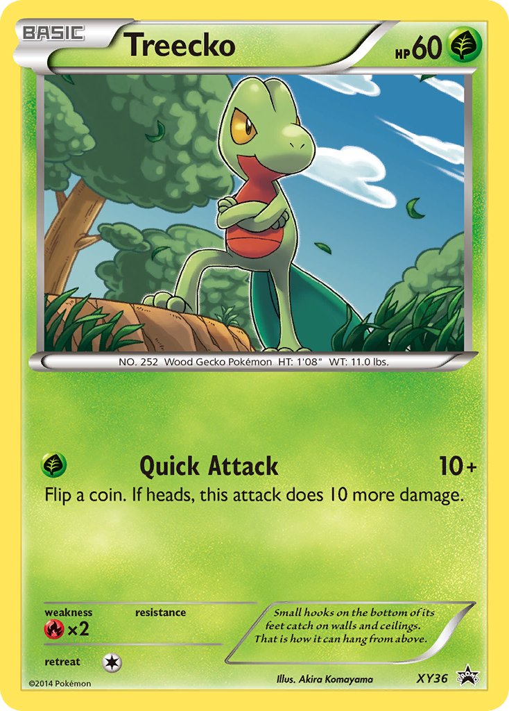 Treecko (XY36) [XY: Black Star Promos] | Exor Games Dartmouth