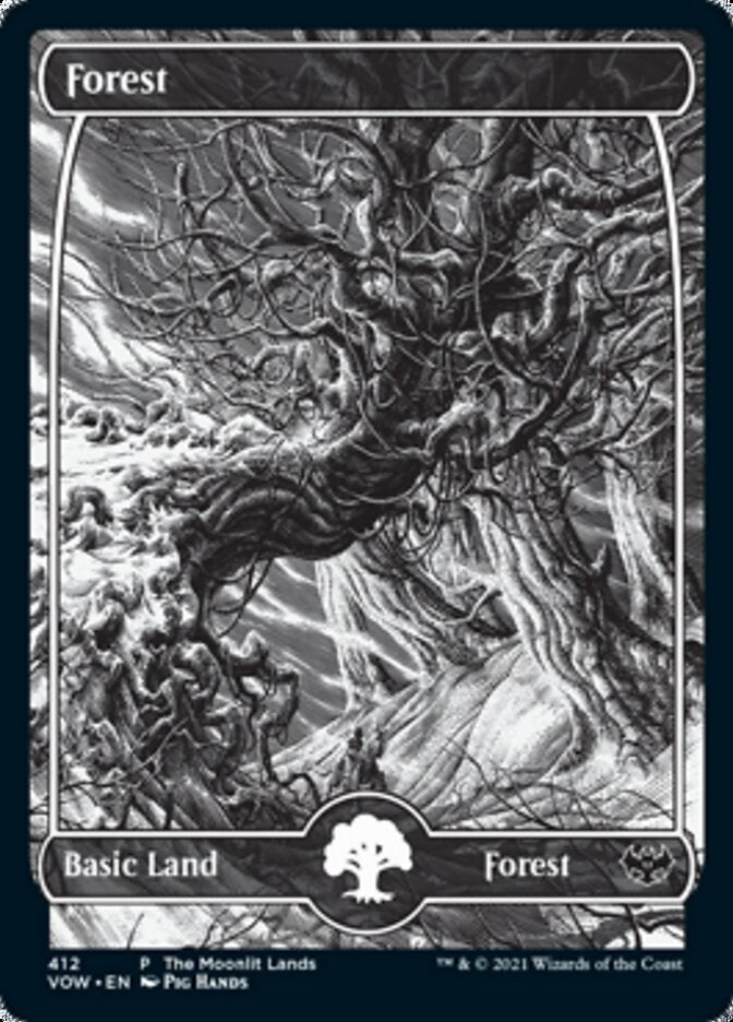 Forest (The Moonlit Lands) (Foil Etched) [Innistrad: Crimson Vow Promos] | Exor Games Dartmouth