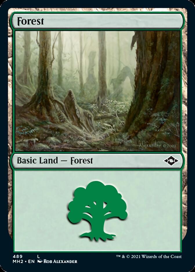 Forest (489) (Foil Etched) [Modern Horizons 2] | Exor Games Dartmouth