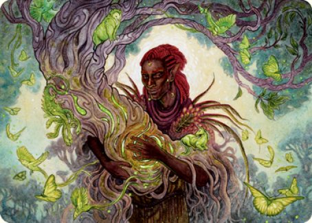 Circle of Dreams Druid Art Card [Dungeons & Dragons: Adventures in the Forgotten Realms Art Series] | Exor Games Dartmouth