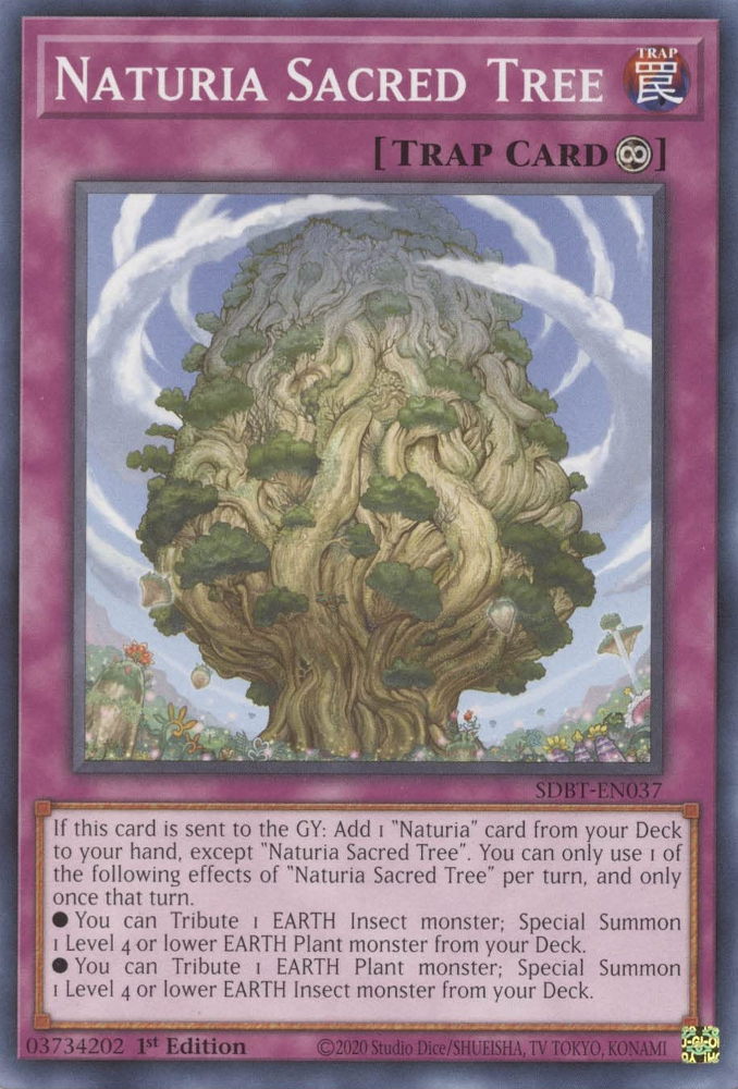 Naturia Sacred Tree [SDBT-EN037] Common | Exor Games Dartmouth