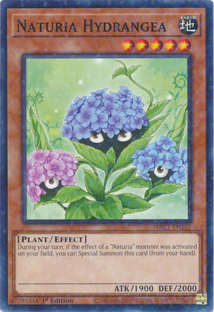 Naturia Hydrangea (Duel Terminal) [HAC1-EN107] Common | Exor Games Dartmouth