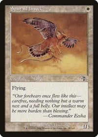 Suntail Hawk [Judgment] | Exor Games Dartmouth