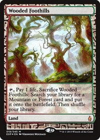 Wooded Foothills [Zendikar Expeditions] | Exor Games Dartmouth