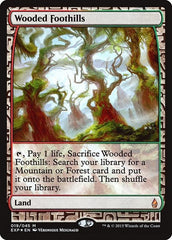 Wooded Foothills [Zendikar Expeditions] | Exor Games Dartmouth