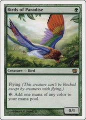 Birds of Paradise [Eighth Edition] | Exor Games Dartmouth