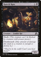 Rancid Rats [Shadows over Innistrad] | Exor Games Dartmouth