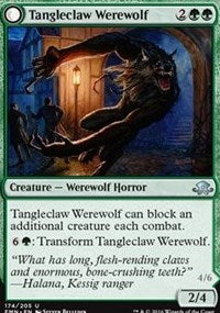 Tangleclaw Werewolf // Fibrous Entangler [Eldritch Moon] | Exor Games Dartmouth