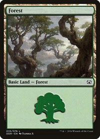 Forest [Duel Decks: Nissa vs. Ob Nixilis] | Exor Games Dartmouth