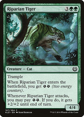 Riparian Tiger [Kaladesh] | Exor Games Dartmouth