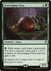 Scavenging Ooze [Commander 2016] | Exor Games Dartmouth