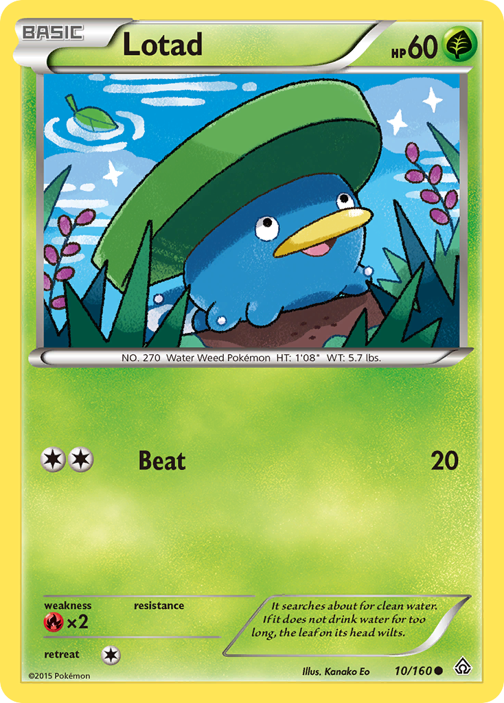 Lotad (10/160) [XY: Primal Clash] | Exor Games Dartmouth