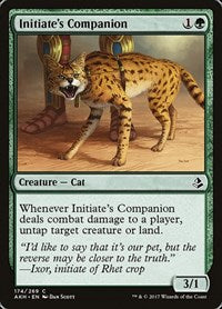 Initiate's Companion [Amonkhet] | Exor Games Dartmouth