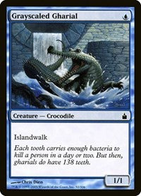 Grayscaled Gharial [Ravnica: City of Guilds] | Exor Games Dartmouth