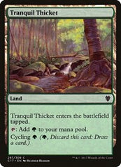 Tranquil Thicket [Commander 2017] | Exor Games Dartmouth