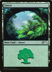 Forest (2017 Gift Pack - Poole) [2017 Gift Pack] | Exor Games Dartmouth