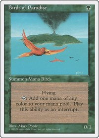 Birds of Paradise [Fourth Edition] | Exor Games Dartmouth