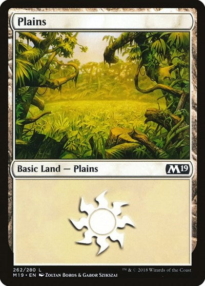 Plains [Core Set 2019] | Exor Games Dartmouth