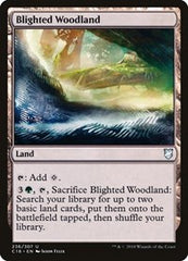 Blighted Woodland [Commander 2018] | Exor Games Dartmouth