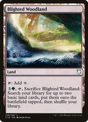 Blighted Woodland [Commander 2018] | Exor Games Dartmouth
